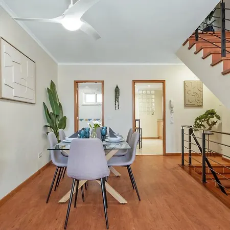 Super Rabbit Daire *