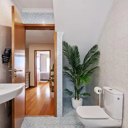 Daire Super Rabbit Funchal