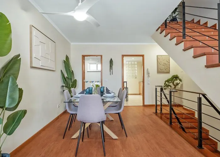 Super Rabbit Daire *