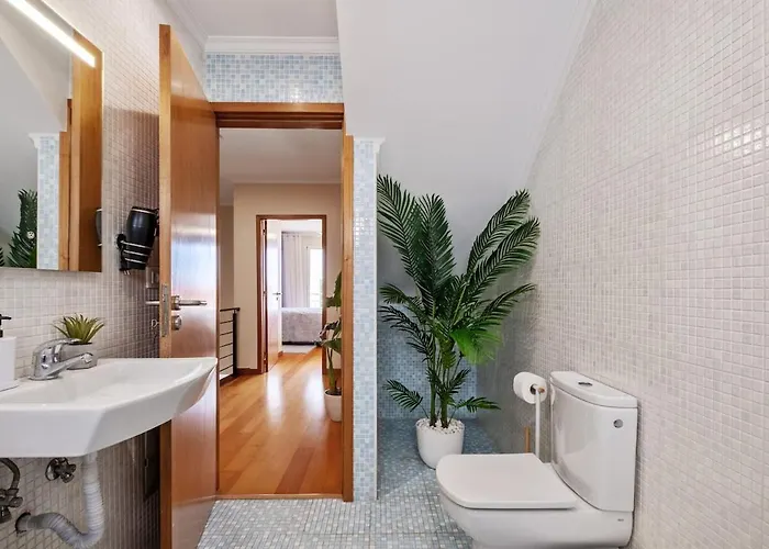 Daire Super Rabbit Funchal