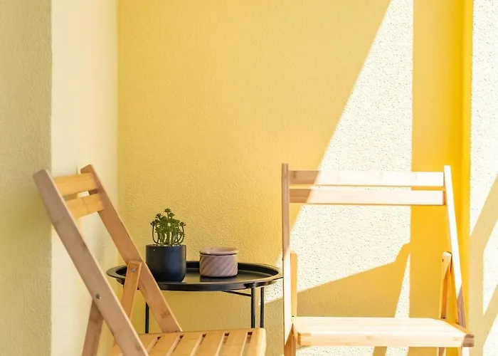 Super Rabbit Daire Funchal