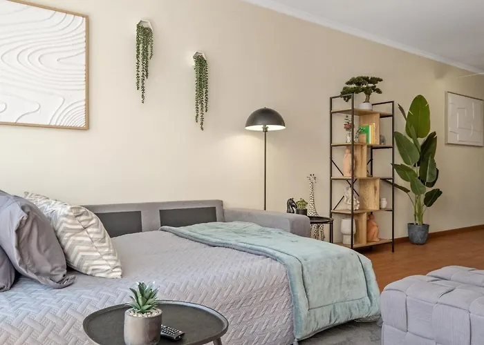 公寓 Super Rabbit 丰沙尔