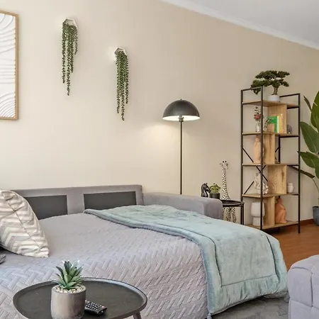 Апартаменты Super Rabbit Фуншал